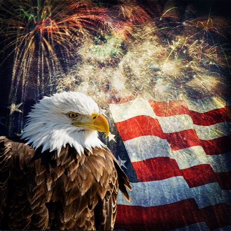 Patriotic 4th Of July Eagles
