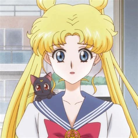 Sailor Moon Usagi And Luna
